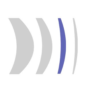 Gray-PREMUIM INDEX 1.67