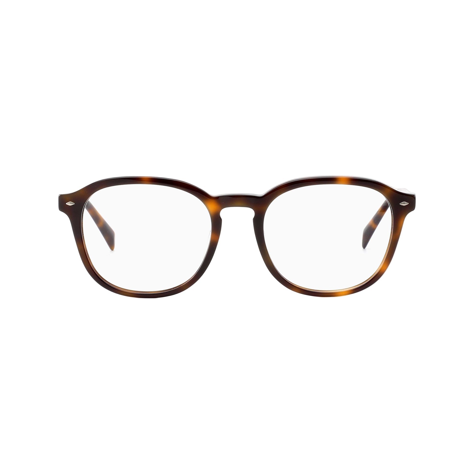#color_Brown Tortoise
