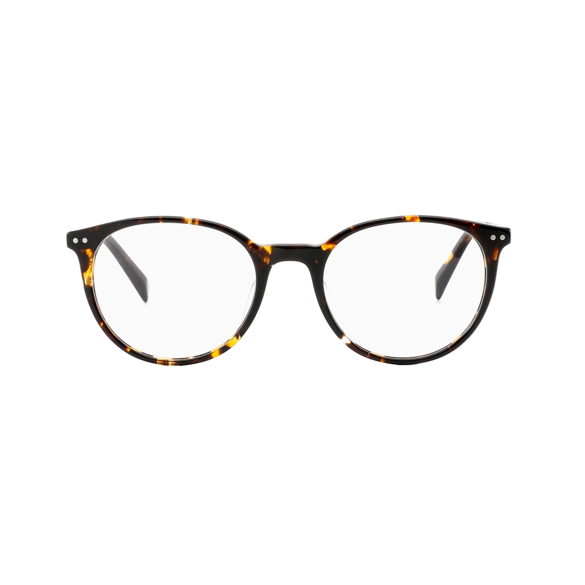 #color_Yellow Tortoise