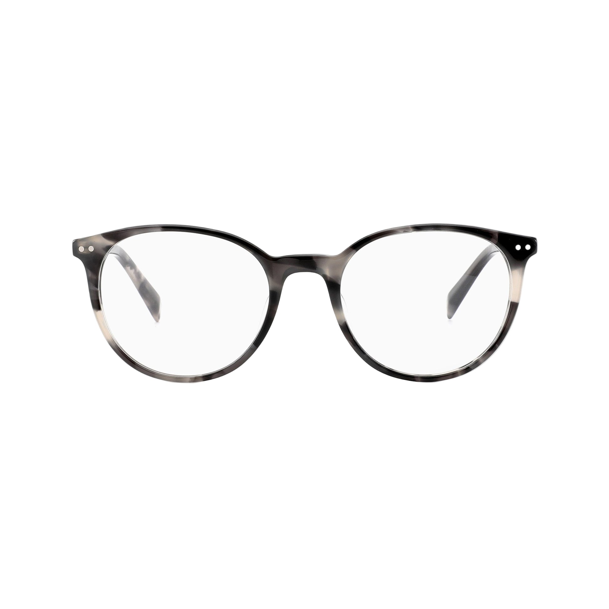 #color_Grey Tortoise