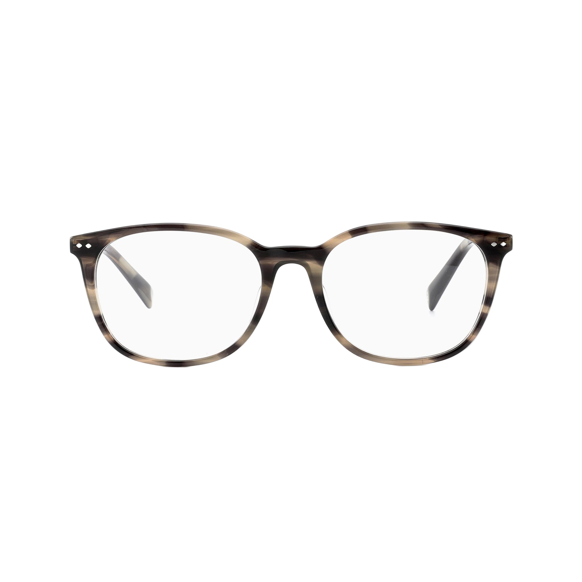 #color_Grey Tortoise