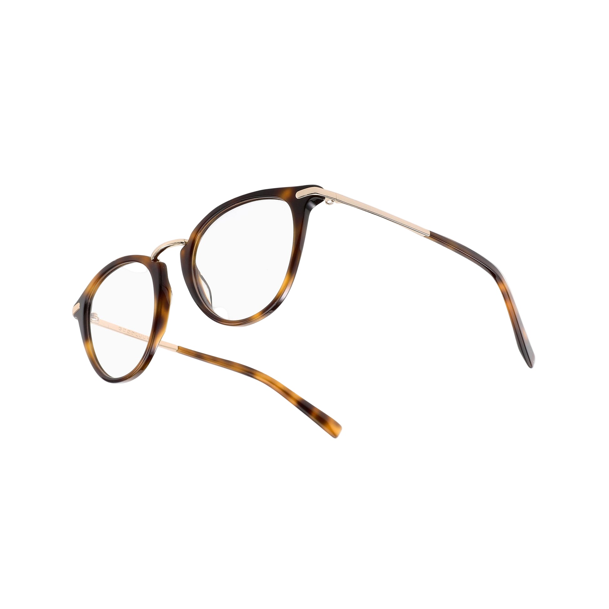 #color_Brown Tortoise